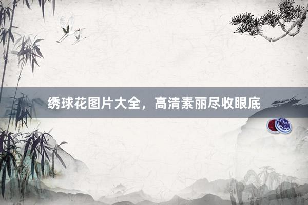 绣球花图片大全，高清素丽尽收眼底